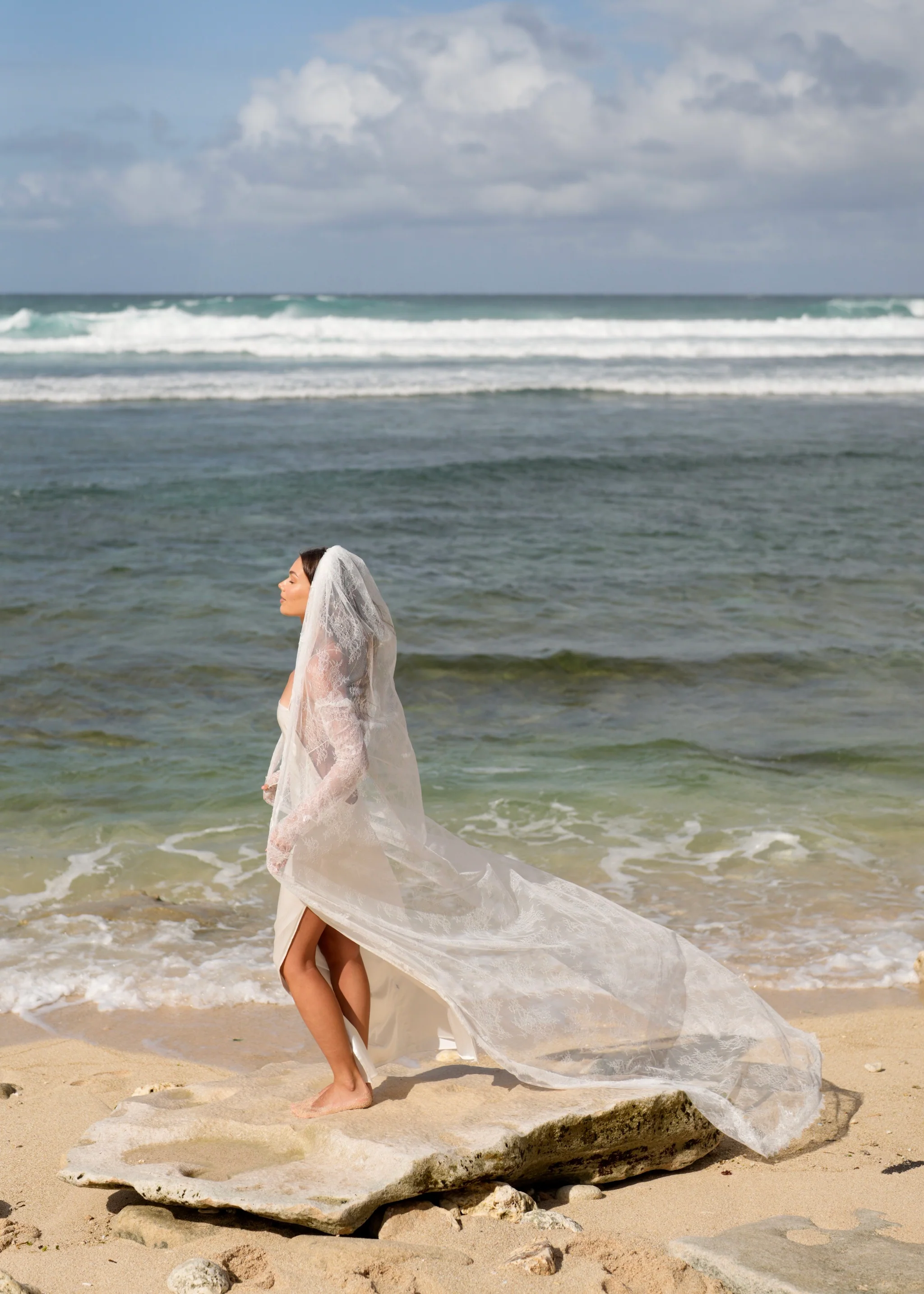 Chantilly All Over Lace Veil, Single Tier, Cathedral Length - Image 3